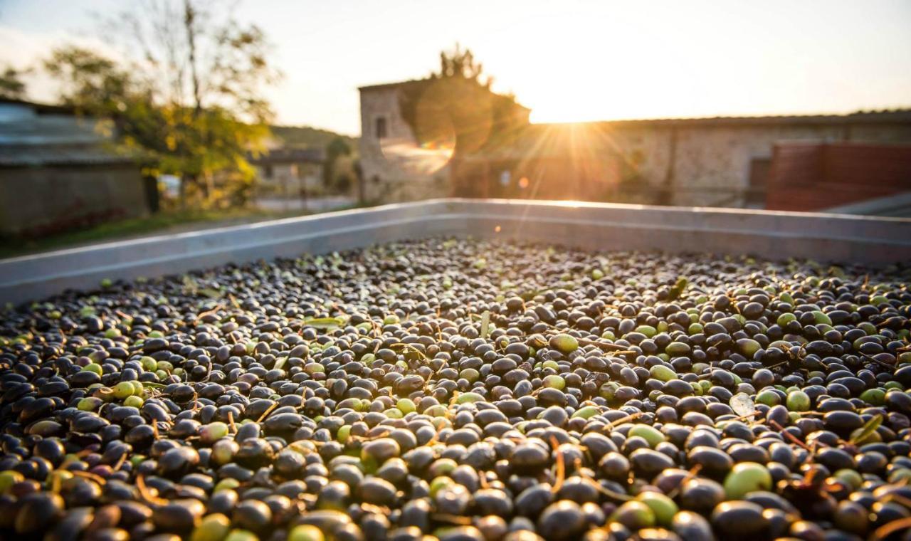 Agriturismo Grossola Castiglione dʼOrcia Екстериор снимка