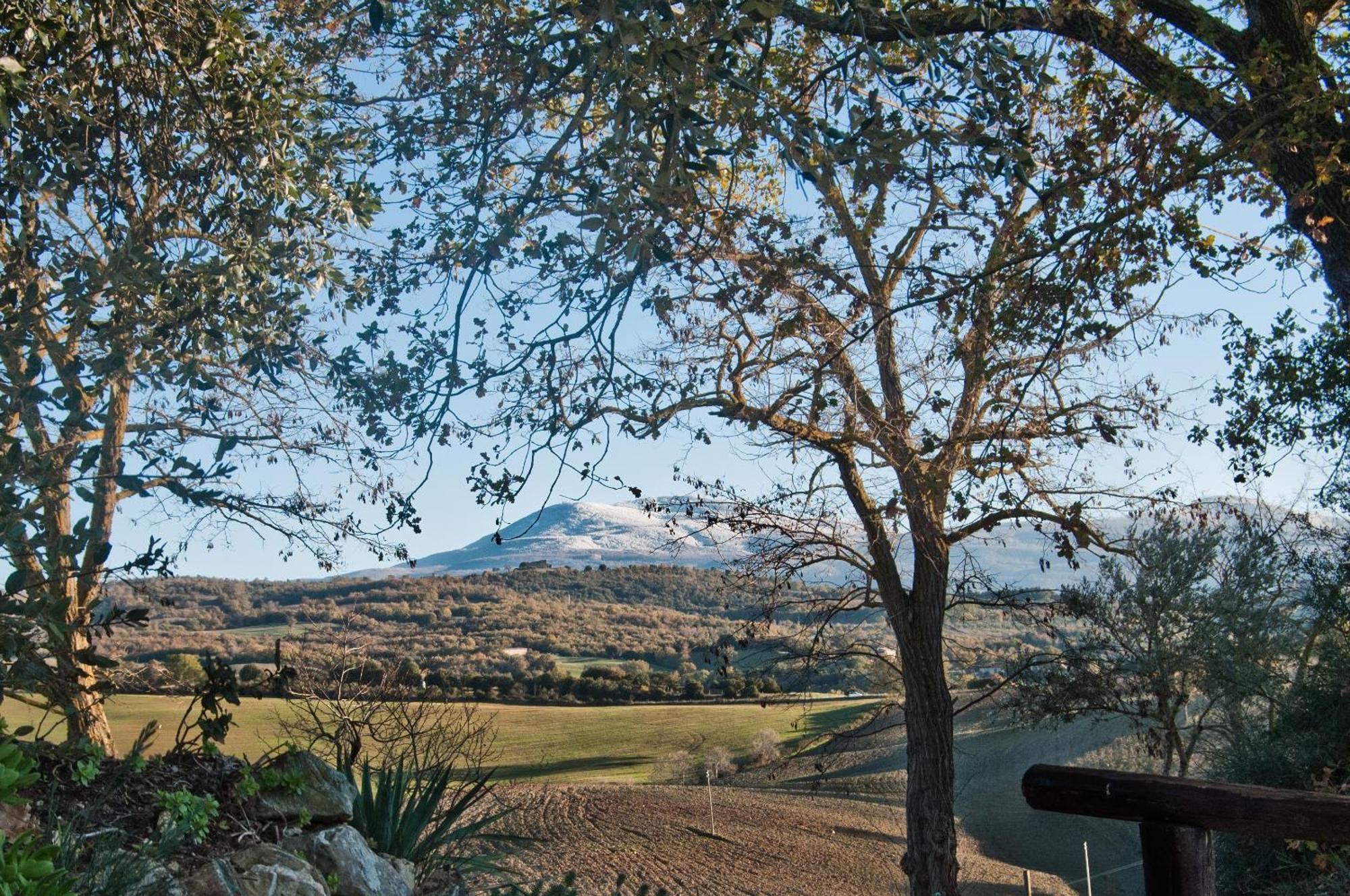 Agriturismo Grossola Castiglione dʼOrcia Екстериор снимка