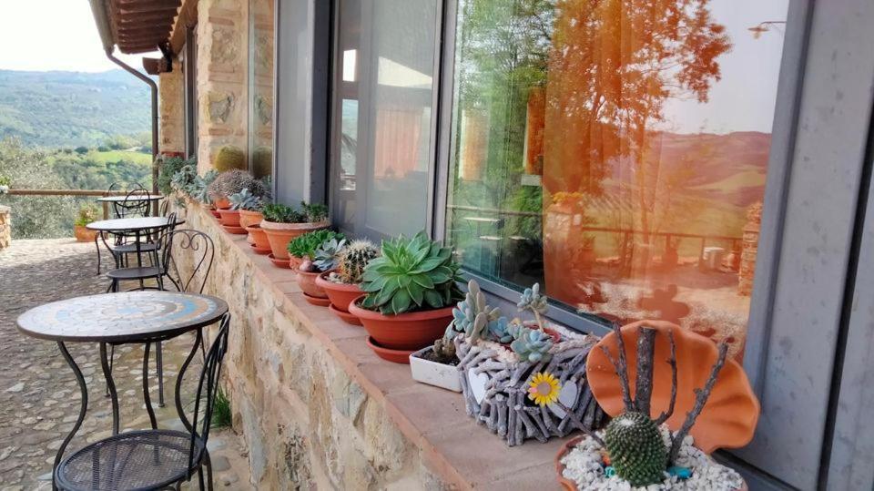 Agriturismo Grossola Castiglione dʼOrcia Екстериор снимка